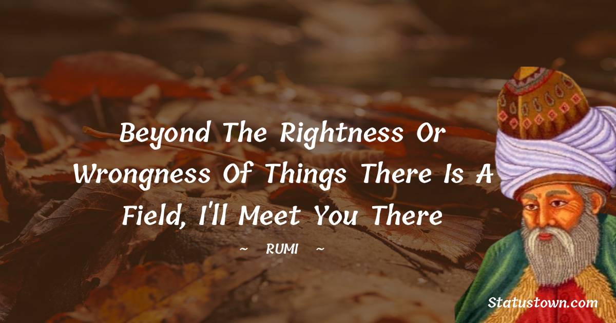 Beyond the rightness or wrongness of things there is a field, I'll meet you there