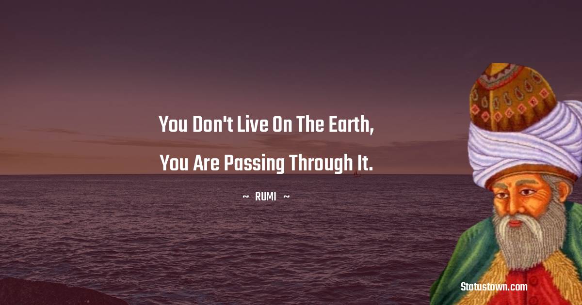 Rumi Quotes - You don't live on the earth, you are passing through it.