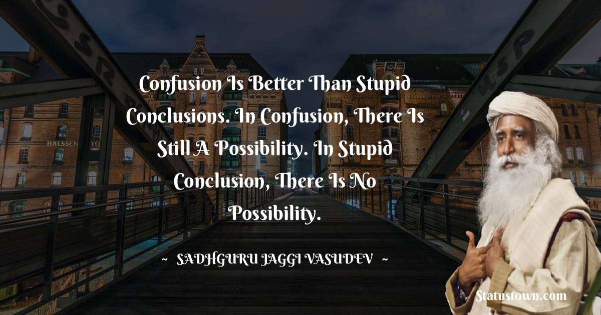 Confusion is better than stupid conclusions. In confusion, there is still a possibility. In stupid conclusion, there is no possibility.