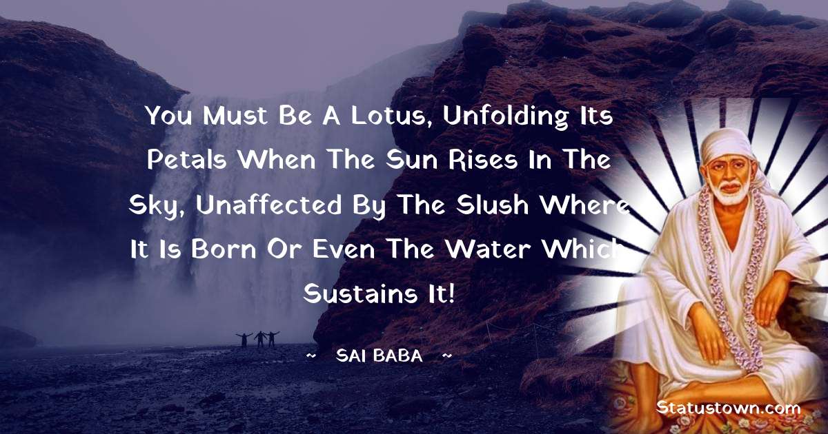 You must be a lotus, unfolding its petals when the sun rises in the sky, unaffected by the slush where it is born or even the water which sustains it! - Sai Baba quotes