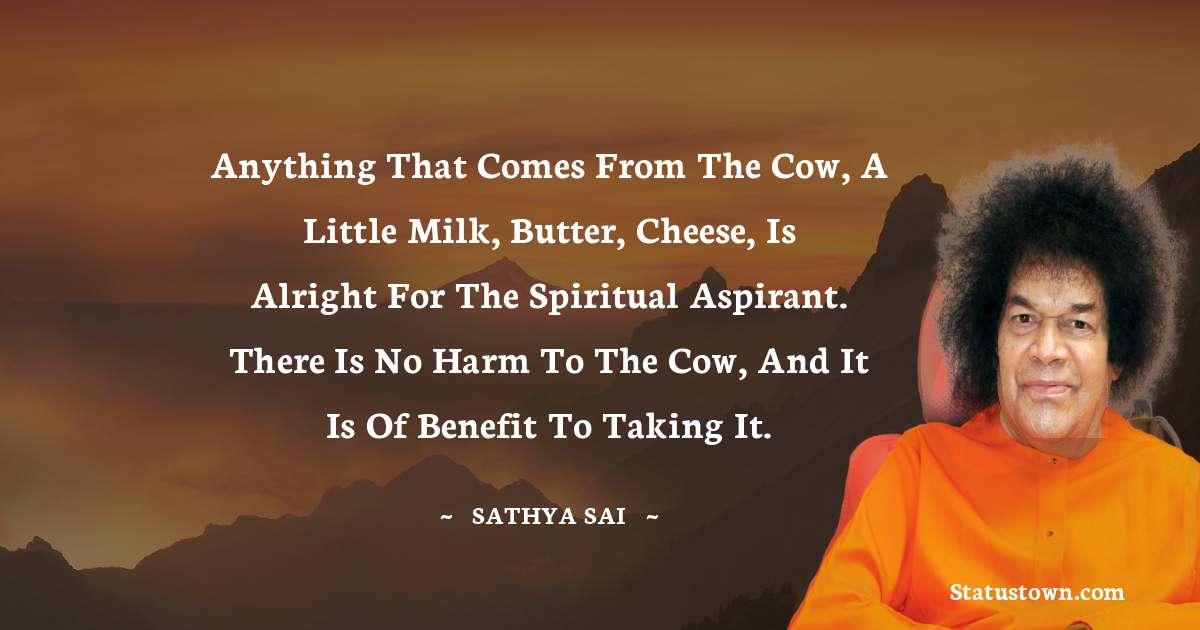 Sathya Sai Baba Quotes - Anything that comes from the cow, a little milk, butter, cheese, is alright for the spiritual aspirant. There is no harm to the cow, and it is of benefit to taking it.