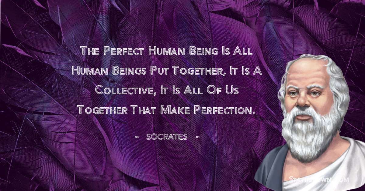 The perfect human being is all human beings put together, it is a collective, it is all of us together that make perfection. - Socrates  quotes