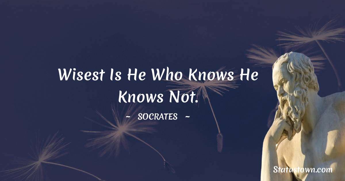 Wisest is he who knows he knows not. - Socrates  quotes