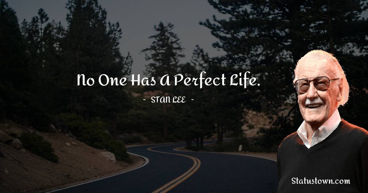 No one has a perfect life. - Stan Lee quotes