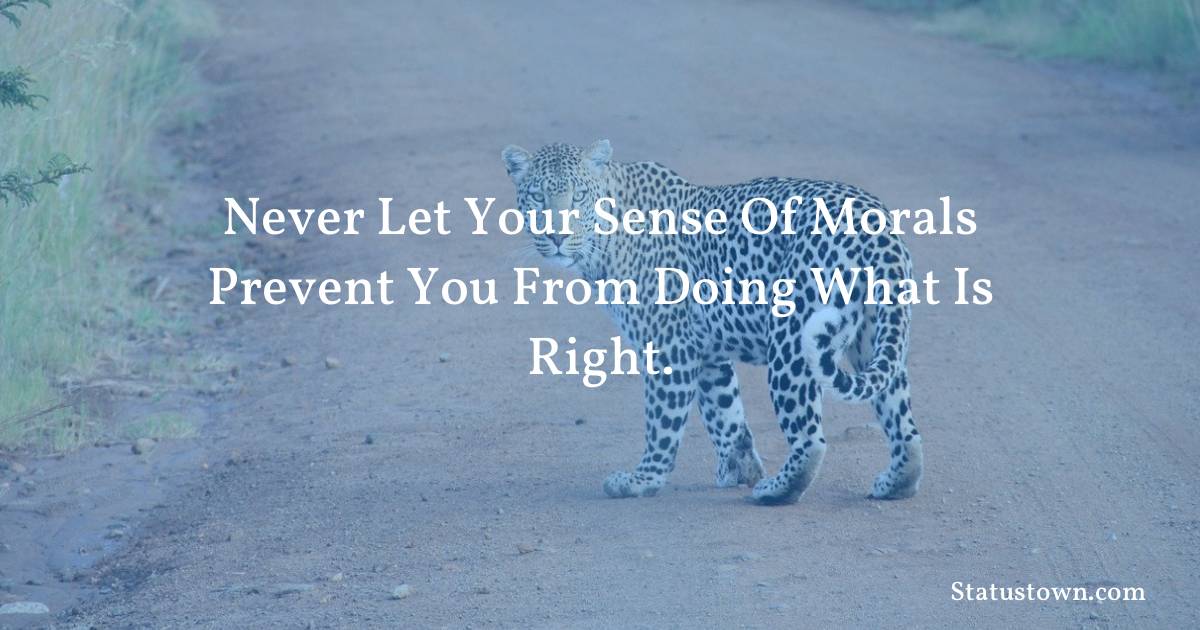 Never let your sense of morals prevent you from doing what is right. - Inspirational quotes
