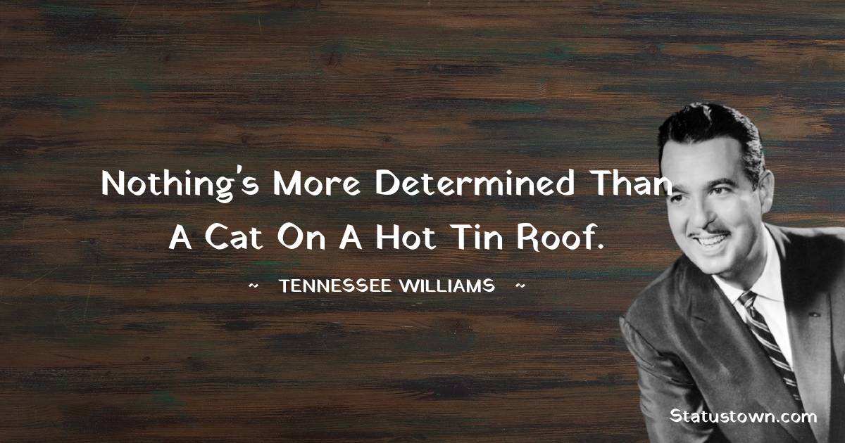 Nothing's more determined than a cat on a hot tin roof.