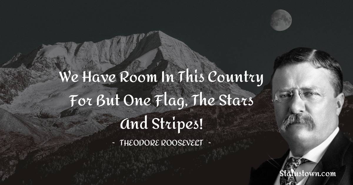 Theodore Roosevelt Quotes - We have room in this country for but one flag, the Stars and Stripes!