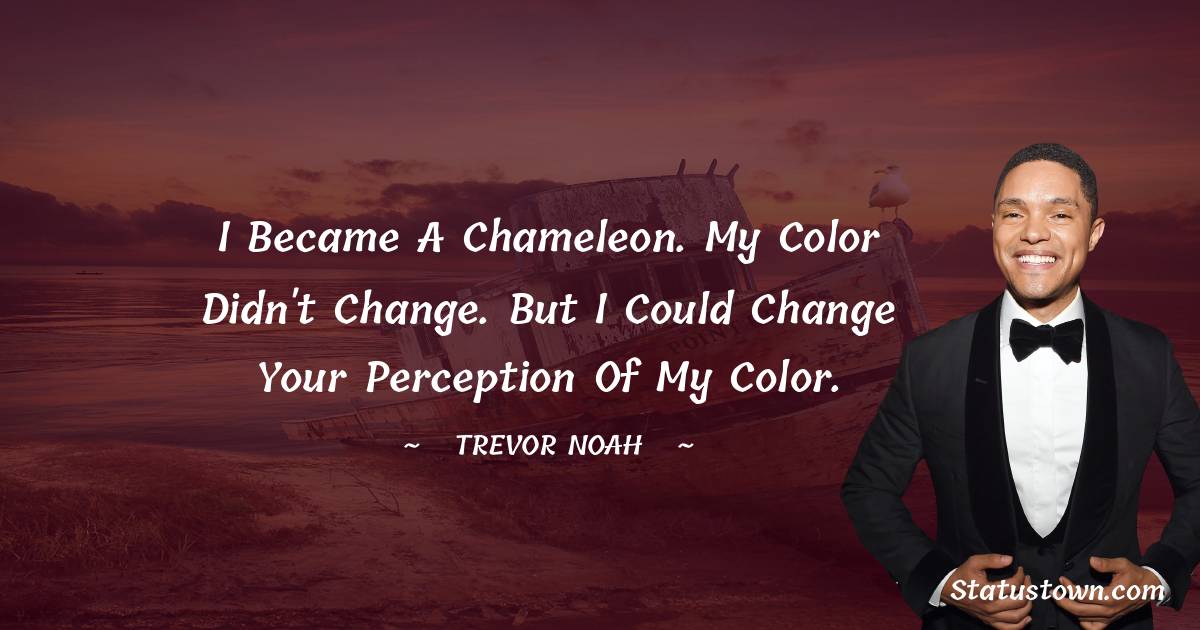 I became a chameleon. My color didn't change. But I could change your perception of my color.