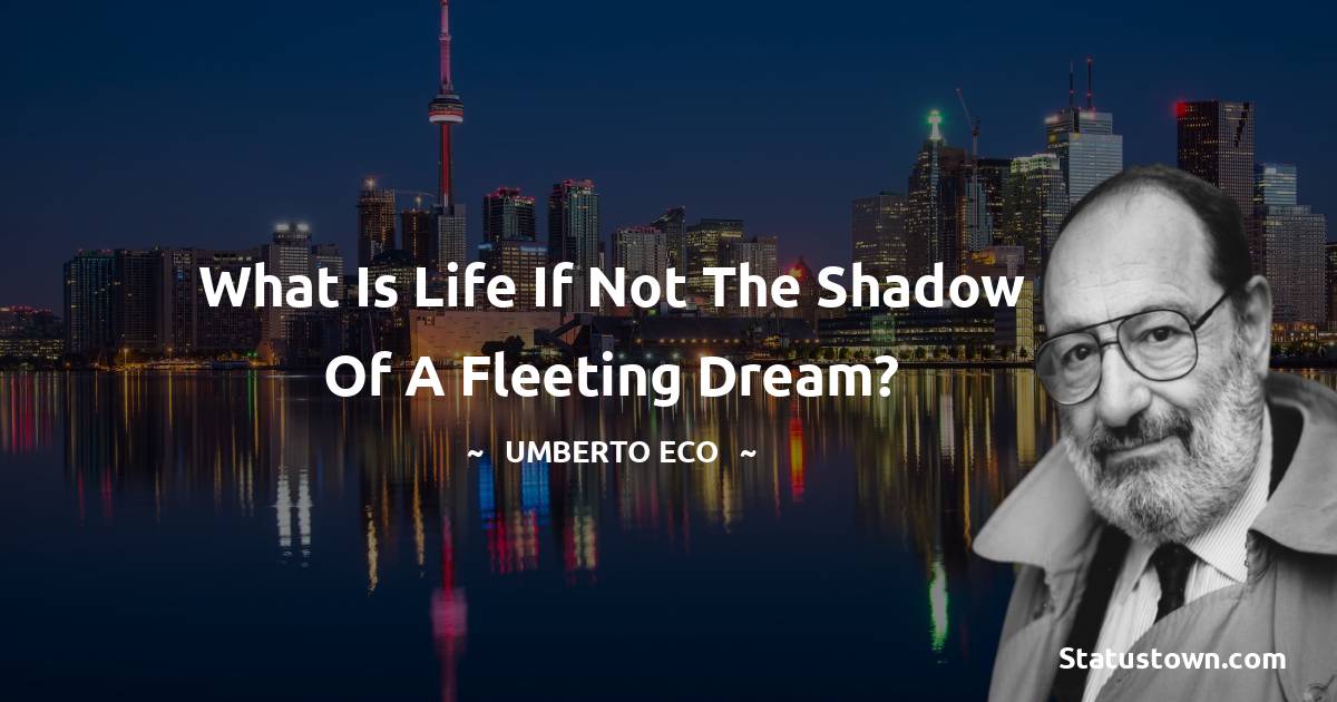 What is life if not the shadow of a fleeting dream?
