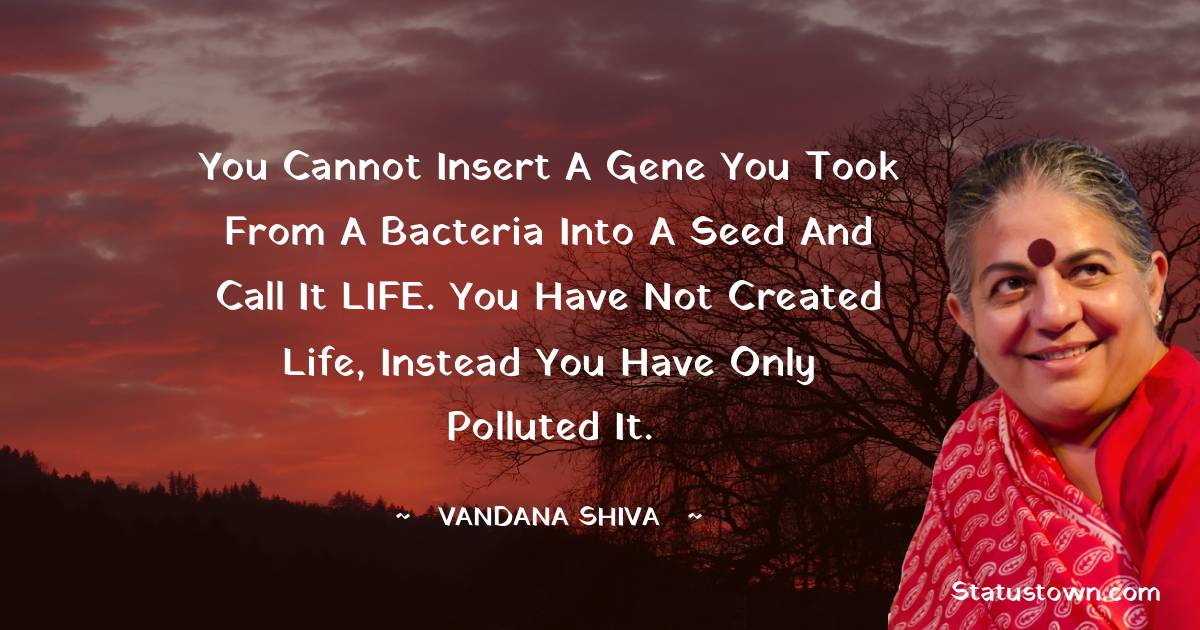 You cannot insert a gene you took from a bacteria into a seed and call it LIFE. You have not created life, instead you have only polluted it.