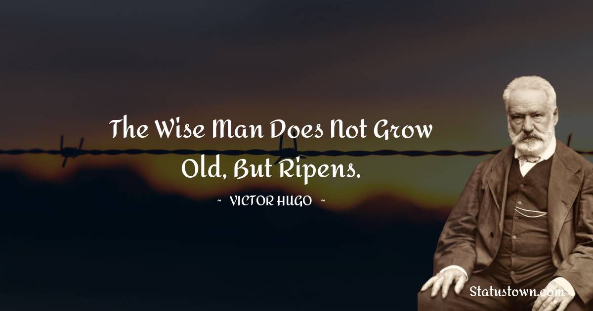 The wise man does not grow old, but ripens. - Victor Hugo  quotes