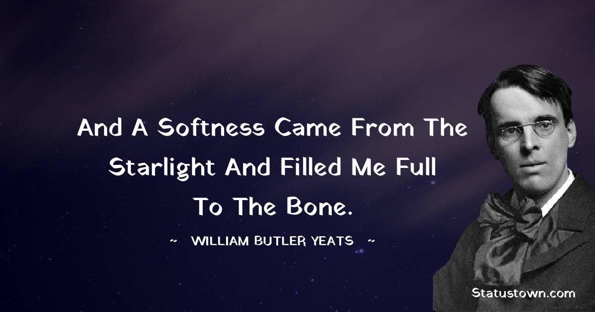 And a softness came from the starlight and filled me full to the bone. - William Butler Yeats quotes
